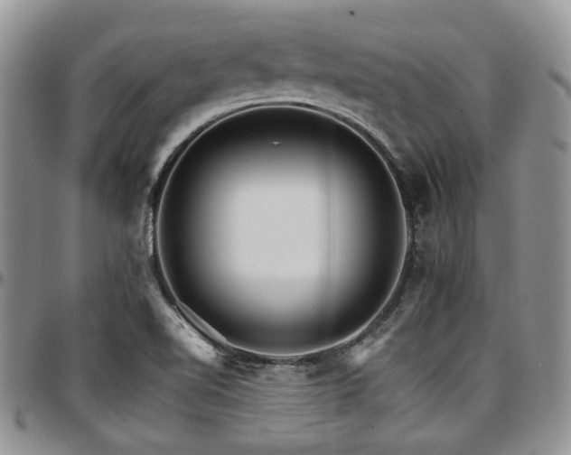 X0000097671510200802291448