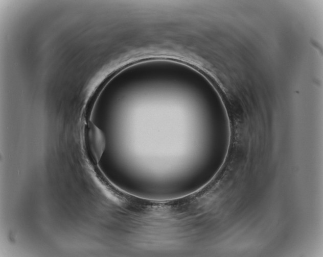 X0000097671511200802291448