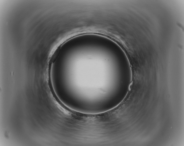 X0000097671512200802291448