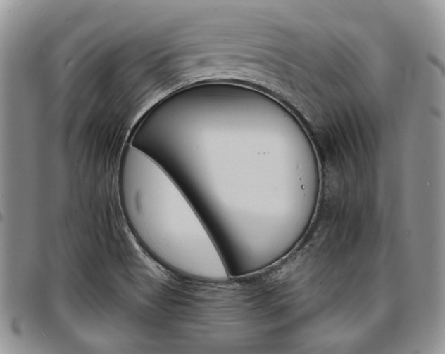 X0000097671513200802291448