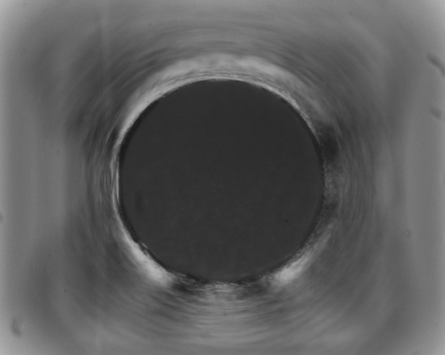 X0000097671515200802291448