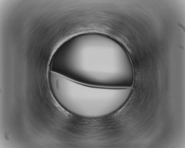 X0000097671516200802291448
