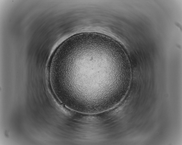 X0000097671517200802291448