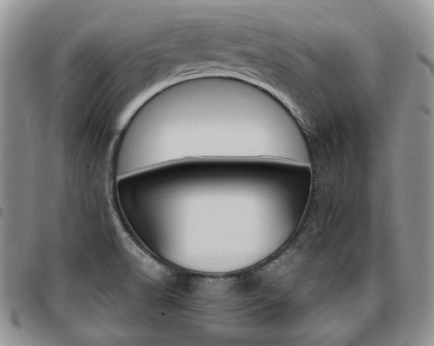 X0000097671518200802291448