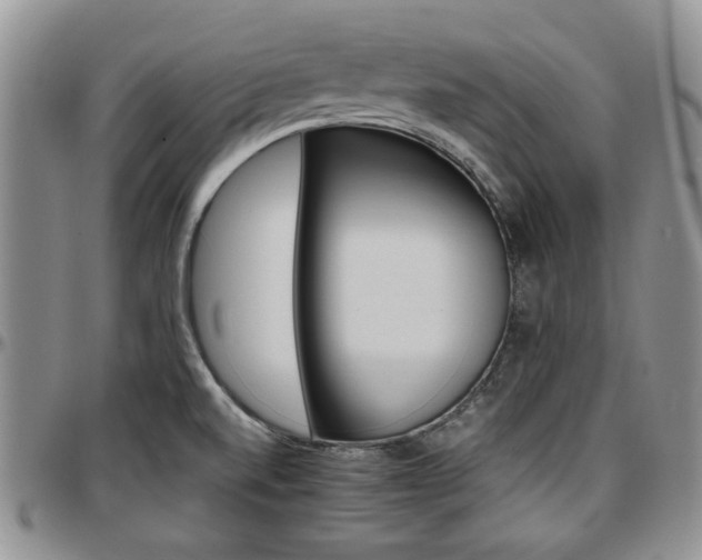 X0000097671520200802291448