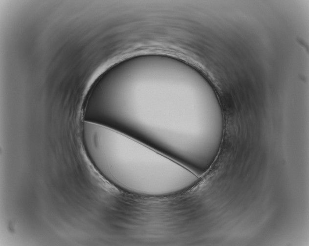 X0000097671522200802291448