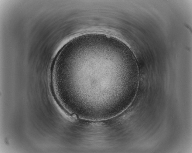 X0000097671523200802291448