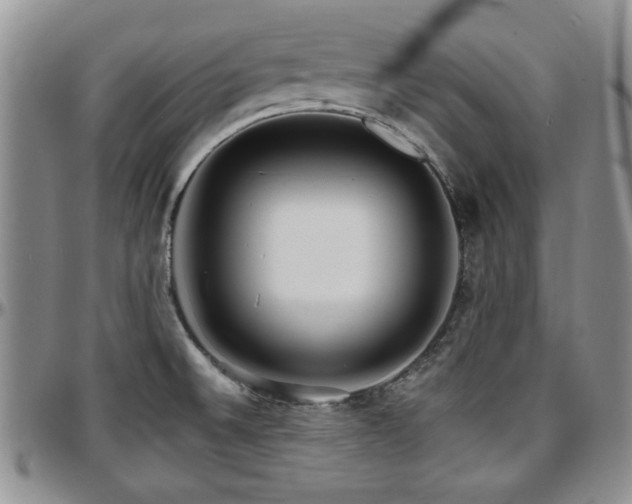 X0000097671524200802291448