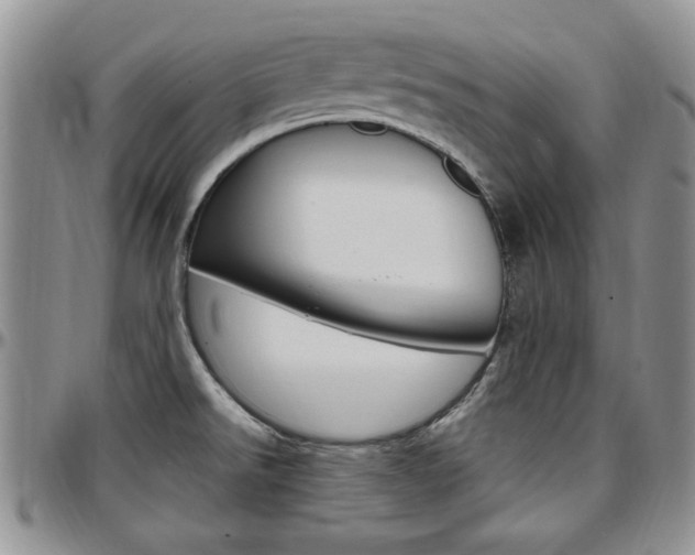 X0000097671526200802291448