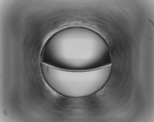 X0000097671527200802291448