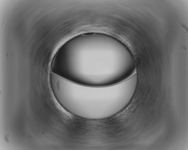 X0000097671528200802291448
