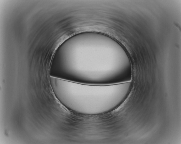 X0000097671529200802291448