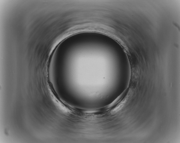 X0000097671530200802291448