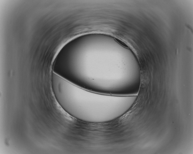 X0000097671532200802291448
