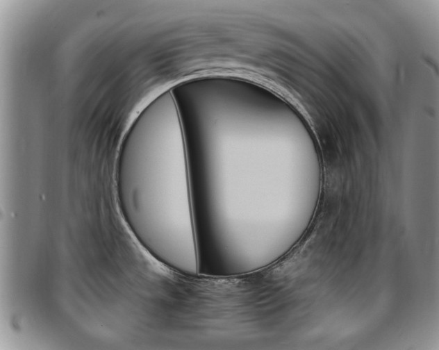 X0000097671533200802291448