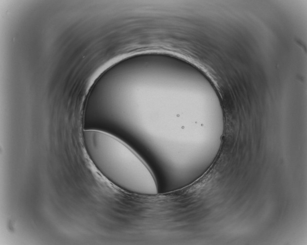 X0000097671534200802291448