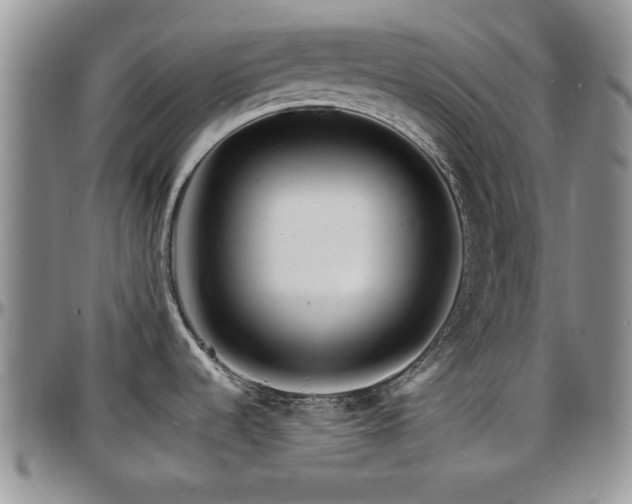 X0000097671536200802291448
