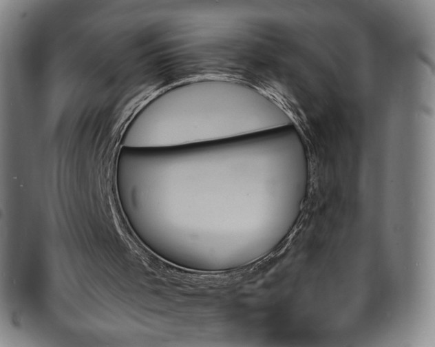 X0000097670001200803071605