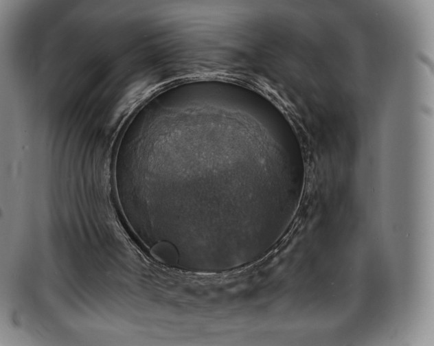 X0000097670002200803071605