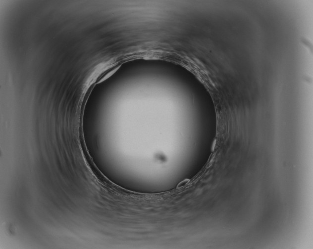 X0000097670003200803071605