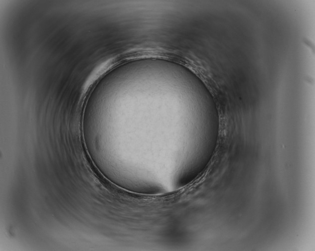 X0000097670004200803071605