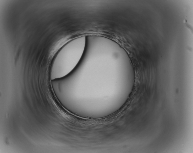 X0000097670005200803071605