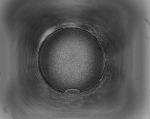 X0000097670006200803071605