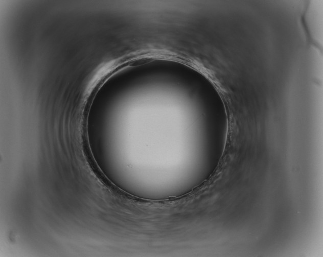 X0000097670007200803071605