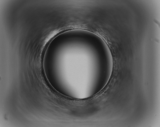 X0000097670008200803071605