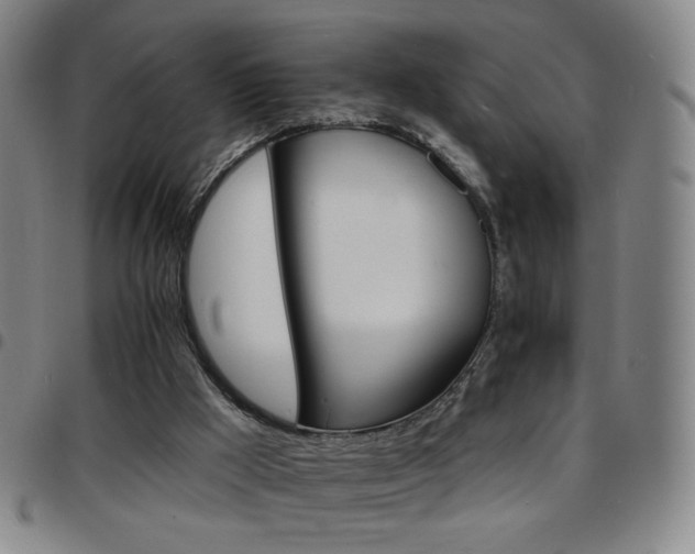 X0000097670009200803071605