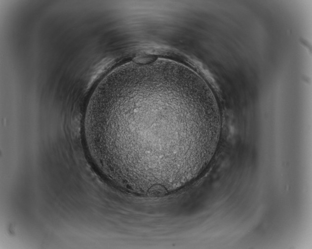 X0000097670010200803071605