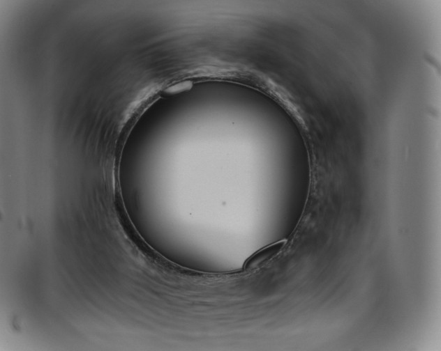 X0000097670011200803071605