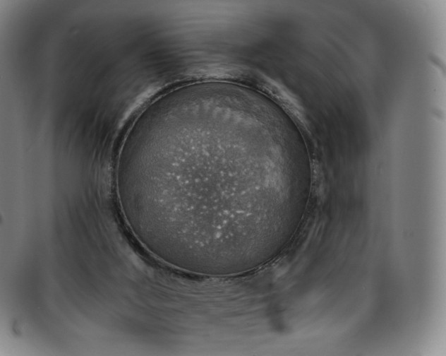 X0000097670012200803071605