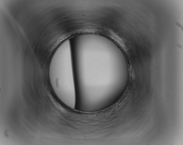 X0000097670013200803071605