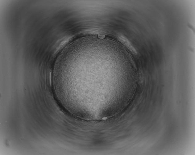 X0000097670014200803071605