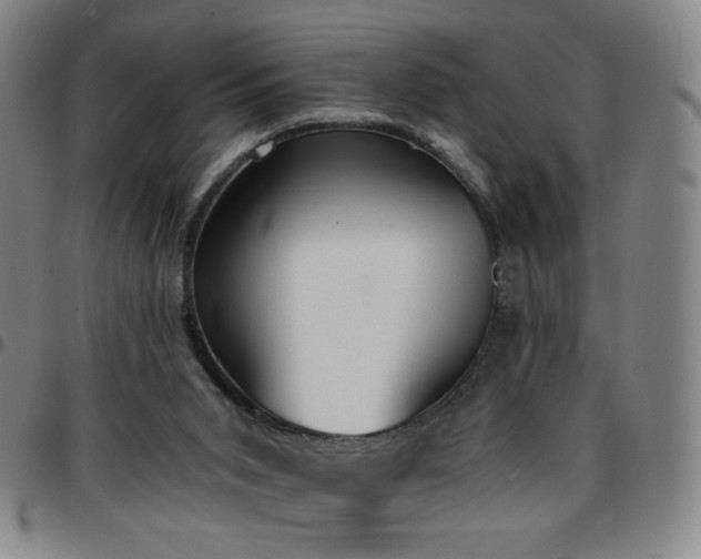 X0000097670015200803071605
