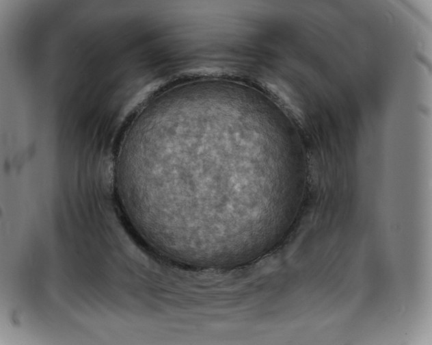 X0000097670016200803071605