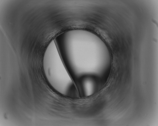 X0000097670017200803071605