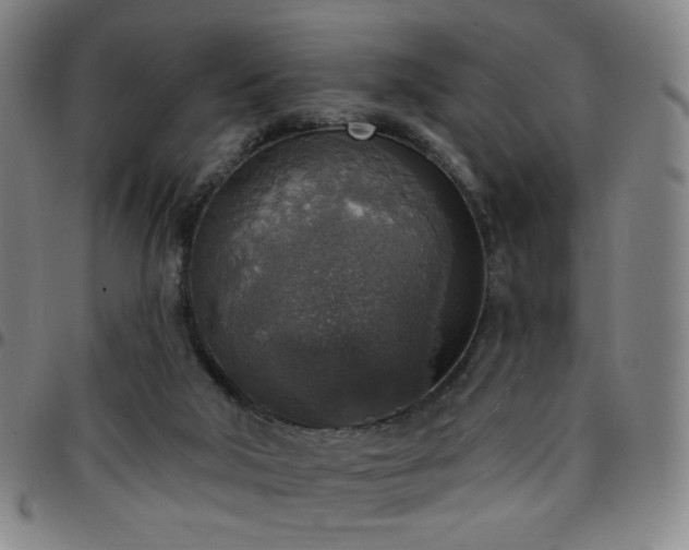 X0000097670018200803071605