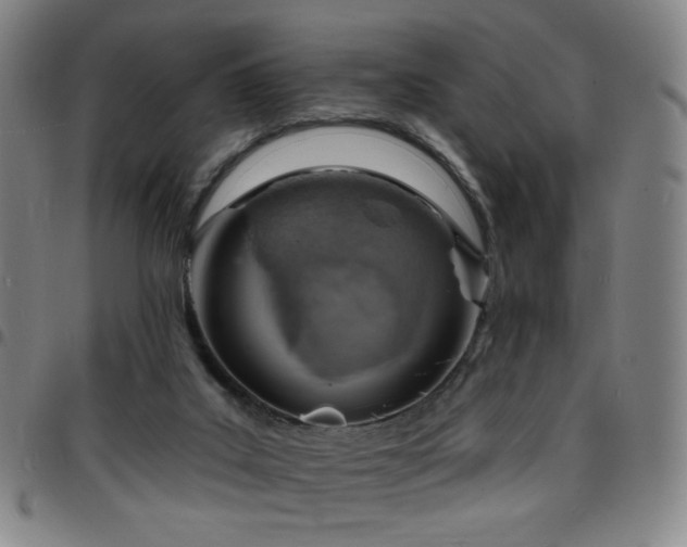 X0000097670019200803071605