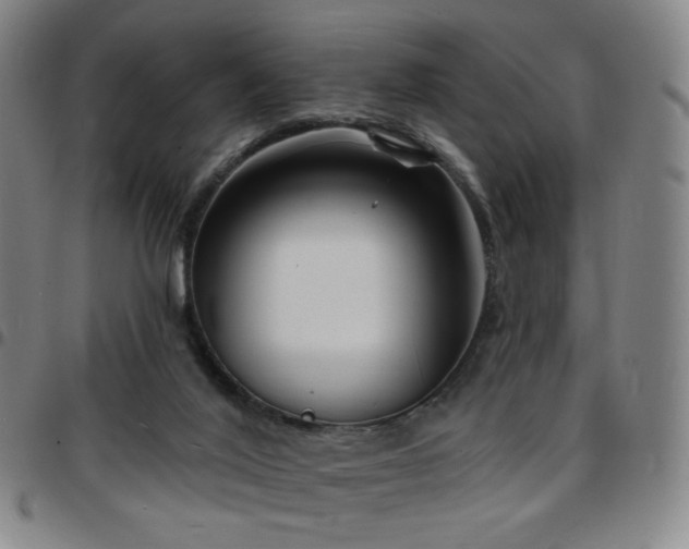 X0000097670020200803071605