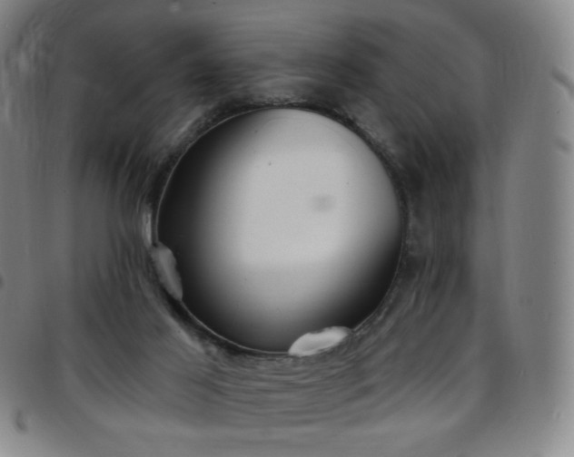 X0000097670021200803071605