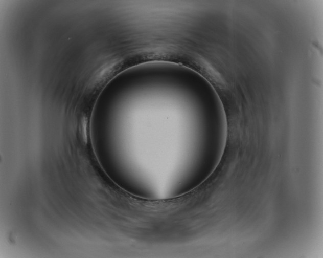 X0000097670022200803071605