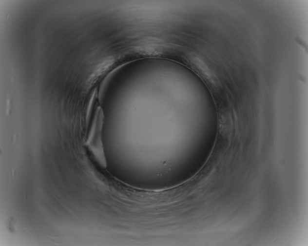 X0000097670023200803071605