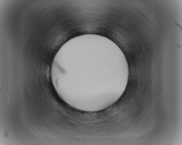 X0000097670024200803071605