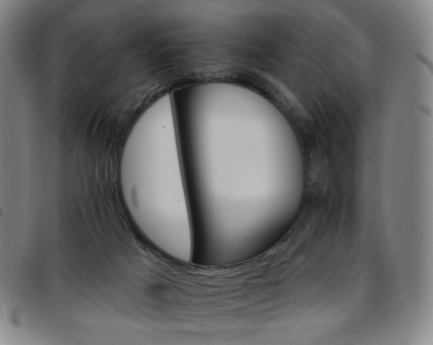X0000097670025200803071605