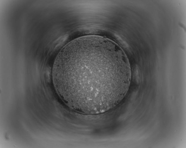 X0000097670026200803071605