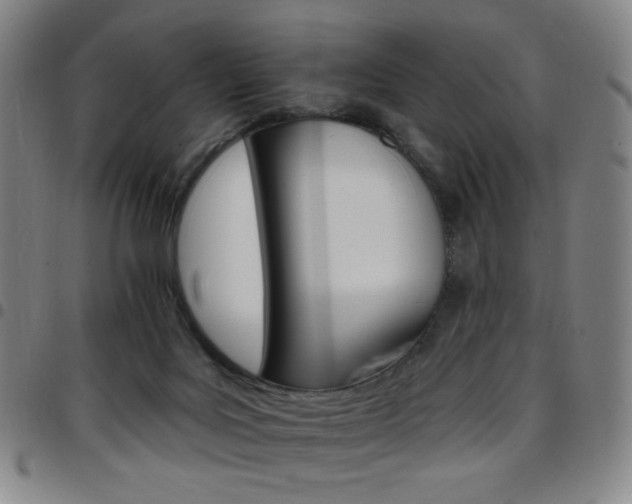 X0000097670027200803071605