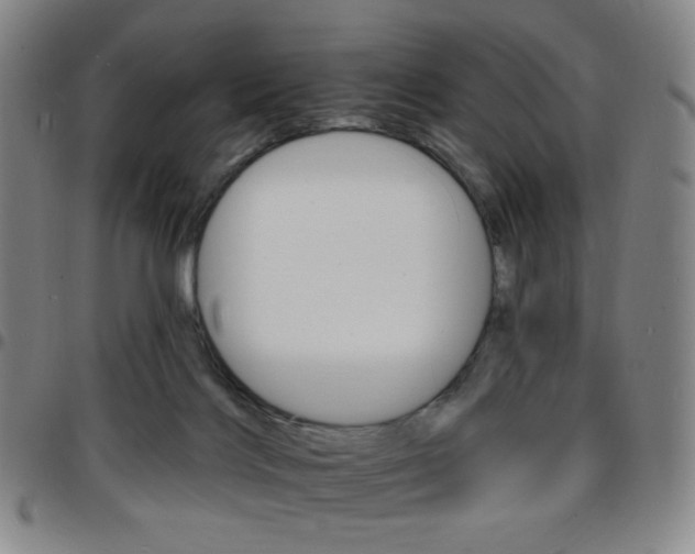 X0000097670028200803071605
