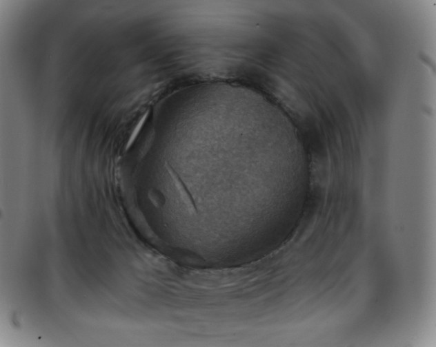 X0000097670029200803071605